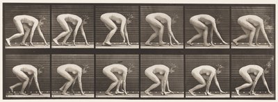 Plate 183. Walking on Hands and Feet بواسطة ايدويرد مويبريدج