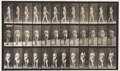 اللوحة 18. المشي ، اليد اليسرى عبر البطن ، 1872-1885 بواسطة ايدويرد مويبريدج