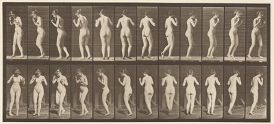 Plate 195. Dancing Waltz بواسطة ايدويرد مويبريدج
