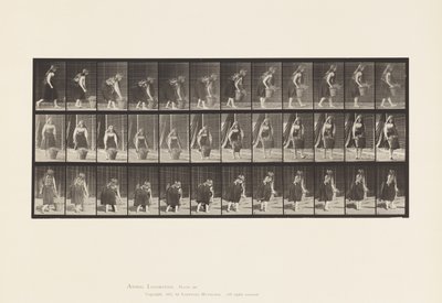 صفيحة 2177. سلال ورفع وحمل سلة 30 رطل 1885 بواسطة ايدويرد مويبريدج