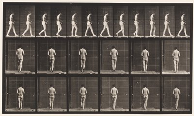 Plate 21. Walking, Both Elbows Bent بواسطة ايدويرد مويبريدج