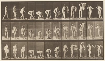 اللوحة 227. رفع القماش من الأرض ، 1872-1885 بواسطة ايدويرد مويبريدج