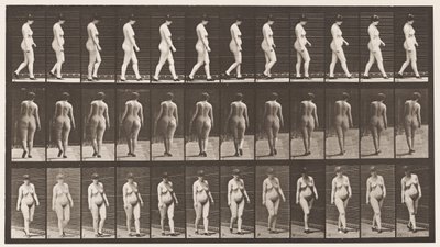 Plate 24. Walking, With High-Heeled Shoes On بواسطة ايدويرد مويبريدج