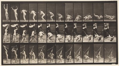 Plate 262. Getting out of Hammock بواسطة ايدويرد مويبريدج