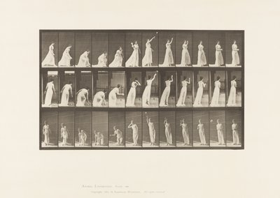 اللوحة 305. التقاط الكرة ورميها ، 1885 بواسطة ايدويرد مويبريدج