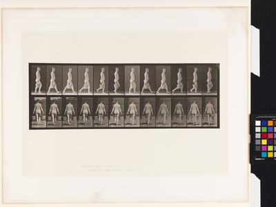 Plate 30. Walking, Carrying Bucket of Water in Each Hand بواسطة ايدويرد مويبريدج