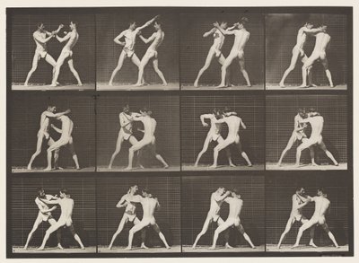 Plate 340. Boxing; Open Hand بواسطة ايدويرد مويبريدج