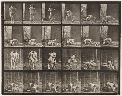 Plate 346. Wrestling, Lock بواسطة ايدويرد مويبريدج