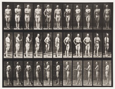 صفيحة 351. حواجز تثبيت وإلغاء الفتح ، 1872-1885 بواسطة ايدويرد مويبريدج