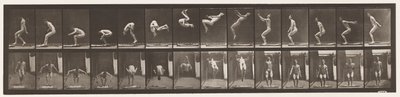 Plate 362. Back Somersault بواسطة ايدويرد مويبريدج