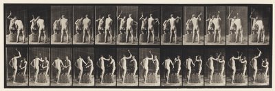 Plate 375. Blacksmiths, Two Models, Hammering on Anvil بواسطة ايدويرد مويبريدج