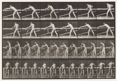 اللوحة 379. نجار ، تخطيط لوحة ، 1872-1885 بواسطة ايدويرد مويبريدج