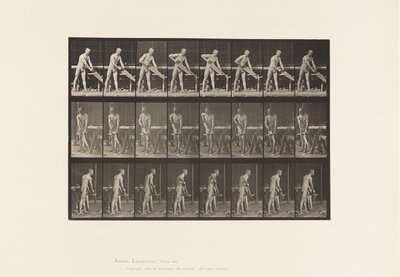 اللوحة 380. نجار ، النشر ، 1872-1885 بواسطة ايدويرد مويبريدج