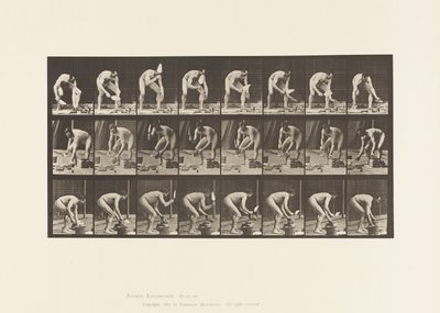 Plate 381. Mason, Laying a Brick بواسطة ايدويرد مويبريدج