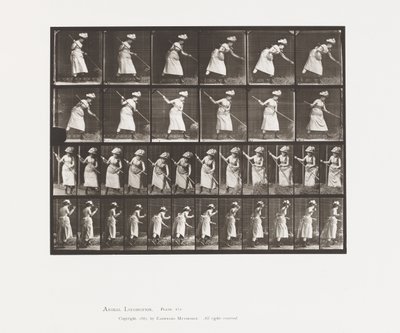 لوحة 456. ركينج هاي ، 1885 بواسطة ايدويرد مويبريدج