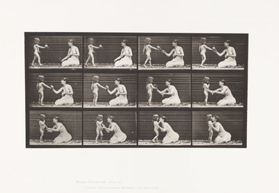 لوحة 465. طرازين ، طفل 70 شمال ، ليصل الباقة إلى 12 ، 1885 بواسطة ايدويرد مويبريدج