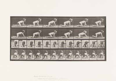 اللوحة 471. الطفل ، الزحف على اليدين والركبتين ، 1885 بواسطة ايدويرد مويبريدج
