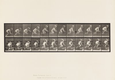اللوحة 472.الطفل ، الزحف في الطابق العلوي ، 1885 (صورة مجمّعة على ورق) بواسطة ايدويرد مويبريدج