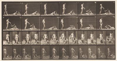 صفيحة 485. نموذجان ؛ أ ، 10 واقفا وملء كأس ؛ 1872-1885 بواسطة ايدويرد مويبريدج