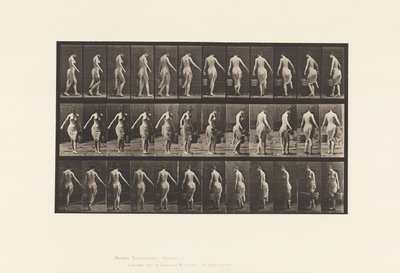 Plate 50. Walking, Carrying a bucket بواسطة ايدويرد مويبريدج