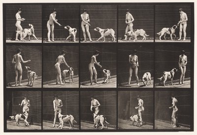 Plate 514. Feeding a Dog بواسطة ايدويرد مويبريدج