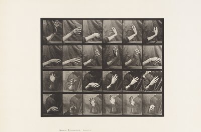 صحن 535. حركة اليد ؛ وقت الضرب ، 1885 بواسطة Eadweard Muybridge
