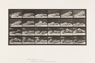 Plate 536. Movement of the Hand; Hands Changing Pencil بواسطة ايدويرد مويبريدج