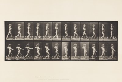 اللوحة 540.A ، أرجل القوس ؛ صبي؛ ب ، تسوس العمود الفقري. فتاة تمشي ، 1885 بواسطة ايدويرد مويبريدج