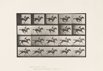 لوحة 627. خليج أصيل Mare Annie G. بواسطة ايدويرد مويبريدج