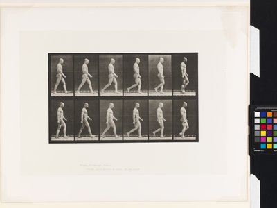 Plate 6.Walking بواسطة ايدويرد مويبريدج