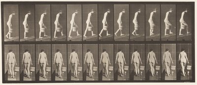 Plate 84. Ascending Incline, Bucket of Water in Right Hand بواسطة ايدويرد مويبريدج