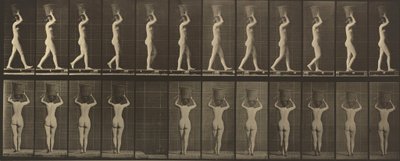 اللوحة رقم 34. يمشي ويحمل سلة تزن 15 رطلاً على رأسه، رافعاً يديه، 1887 (صورة) بواسطة ايدويرد مويبريدج