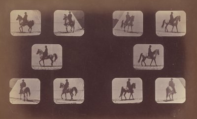دراسات التقصير المسبق. خيل. المشي. ماهوميت. رقم 119 - 120 بواسطة ايدويرد مويبريدج