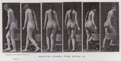 The Human Figure in Motion: Selected phases from series 42 (b/w photo) بواسطة ايدويرد مويبريدج