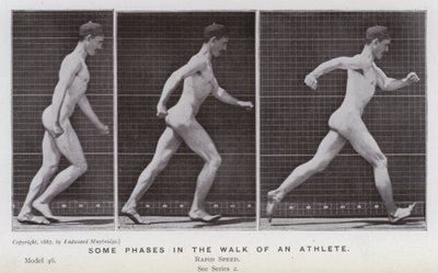 The Human Figure in Motion: Some phases in the walk of an athlete (b/w photo) بواسطة ايدويرد مويبريدج