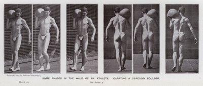 The Human Figure in Motion: Some phases in the walk of an athlete, carrying a 75-pound boulder (b/w photo) بواسطة ايدويرد مويبريدج