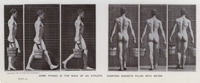 The Human Figure in Motion: Some phases in the walk of an athlete, carrying buckets filled with water (b/w photo) بواسطة ايدويرد مويبريدج