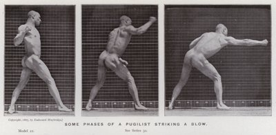 The Human Figure in Motion: Some phases of a pugilist striking a blow (b/w photo) بواسطة ايدويرد مويبريدج
