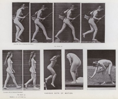 The Human Figure in Motion: Various acts of motion (b/w photo) بواسطة ايدويرد مويبريدج
