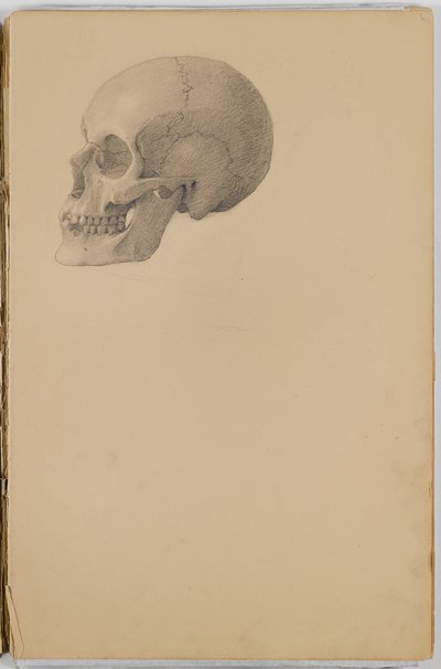 كتاب تشريح ، 1849 (كراسة رسم يحتوي على رسومات في الجرافيت) بواسطة ايستمان جونسون