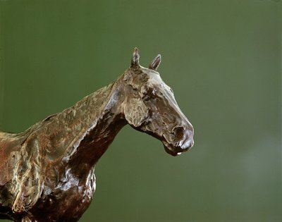 رأس الحصان (برونز) (تفاصيل 335585) بواسطة Edgar Degas