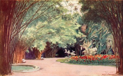 A Bamboo Grove، Botanical Gardens (لون ليثو) بواسطة Edgar L. Pattison