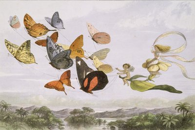 في Fairyland: سلسلة من الصور من Elf-World ، 1870. بواسطة إدموند إيفانز