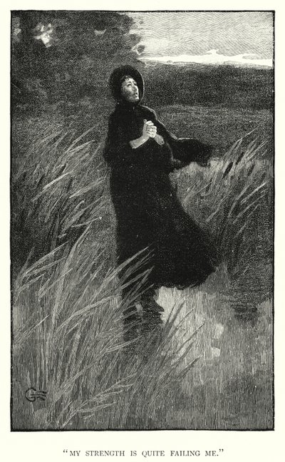 Illustration for Jane Eyre by Charlotte Bronte (engraving) بواسطة إدموند هنري جاريت