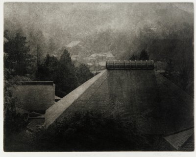 في ظل جوموجي ، 1994 بواسطة إدوارد كريميو