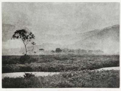 أوزي ميست ، 1993 بواسطة إدوارد كريميو