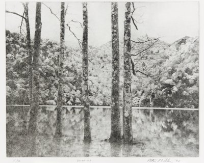 ساي نو كو ، 1992 بواسطة إدوارد كريميو