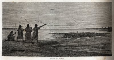 صيد السلاحف ، بين الكونيبو الهندي في بيرو ، رسمه ريو لتوضيح رحلة بي. ماركوي ، من 1848 إلى 1860 ، من المحيط الهادئ إلى المحيط الأطلسي. نقش في "" Le Tour du monde "، تحرير إدوارد شارتون بواسطة إدوارد ريو