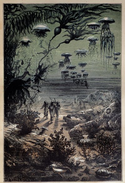 أرضية تحت الماء. رسم إيضاحي لإدوارد ريو (1833-1900) لرواية "عشرين ألف فرسخ تحت البحار" لجول فيرن (1828-1905) مجموعة خاصة من القرن التاسع عشر بواسطة إدوارد ريو