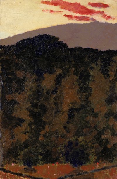 المناظر الطبيعية ، c.1900 بواسطة إدوارد فويلارد